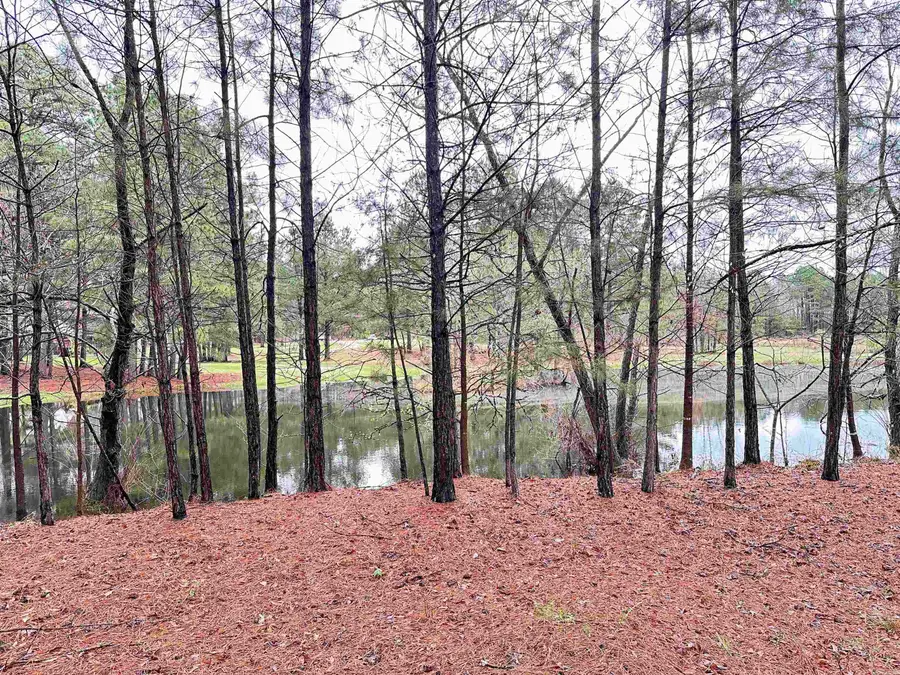 1000 Quapaw Road, Bismarck, AR 71929 - #3