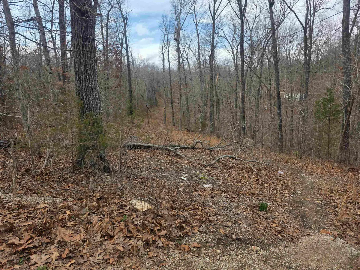 6 Lots S Summit Ridge Drive, Ozark Acres, AR 72482 - #1