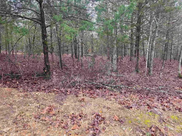 L-86,87 B-2 Gettysburg Drive, Cherokee Village, AR 72529