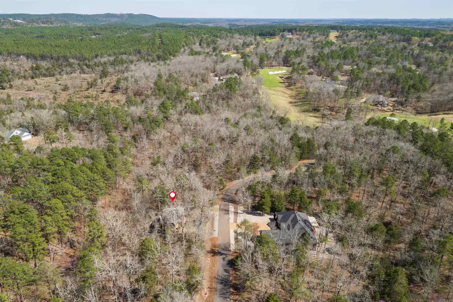 16 Perfecto Lane, Hot Springs Village, AR 71909 - #3