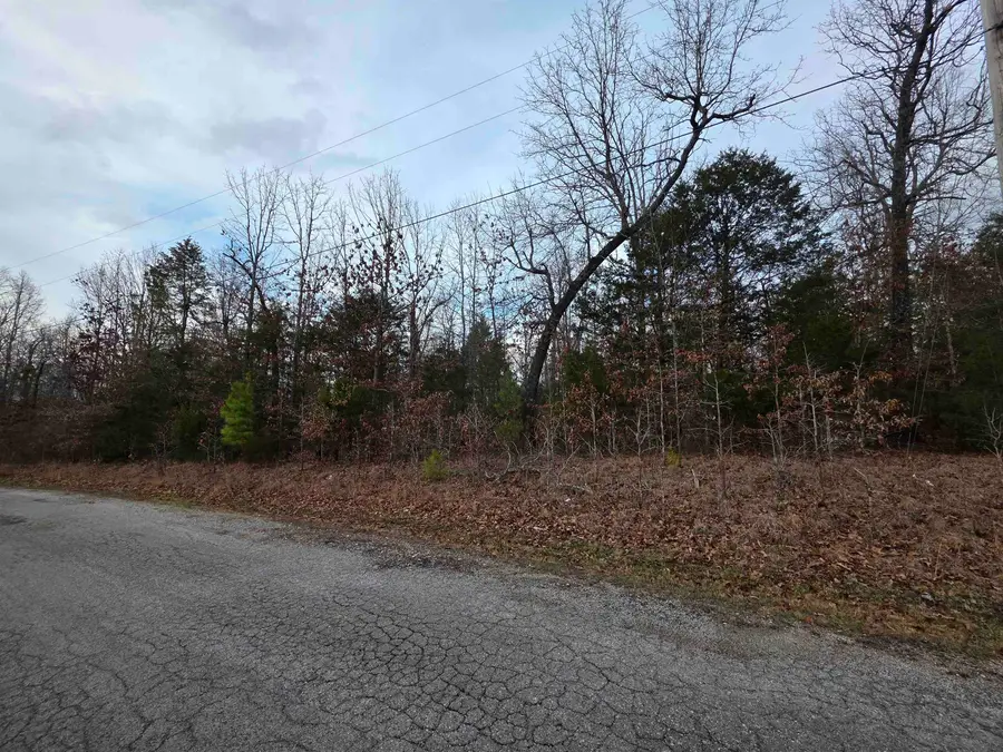 L28 B1 Arkinda Drive, Cherokee Village, AR 72529 - #3