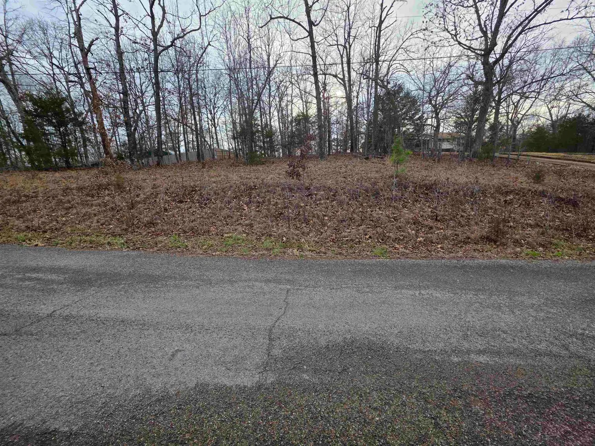 L23 B3 Delaware Drive, Cherokee Village, AR 72529 - #1