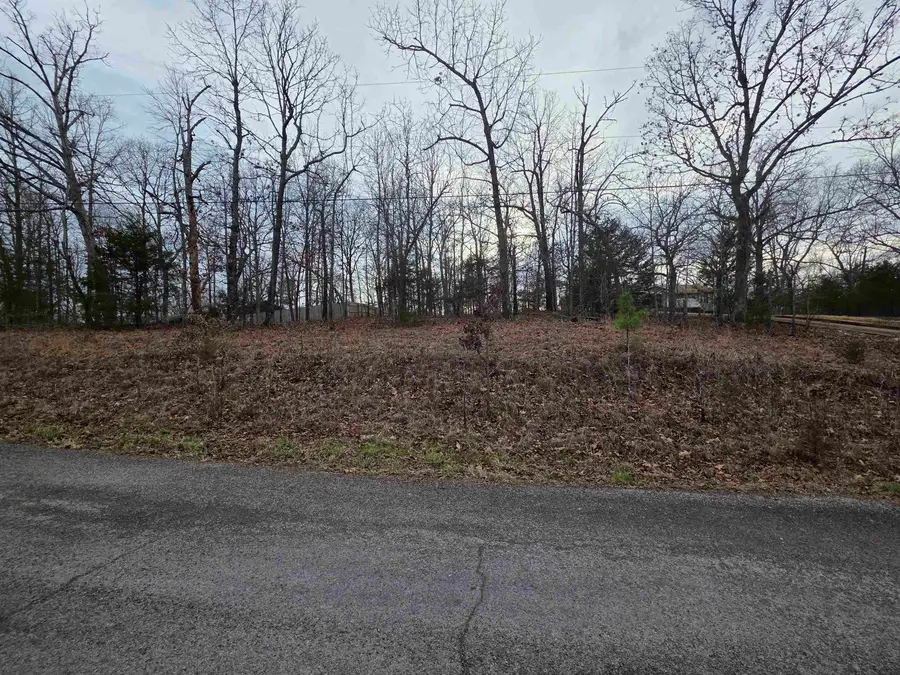 L23 B3 Delaware Drive, Cherokee Village, AR 72529 - #3