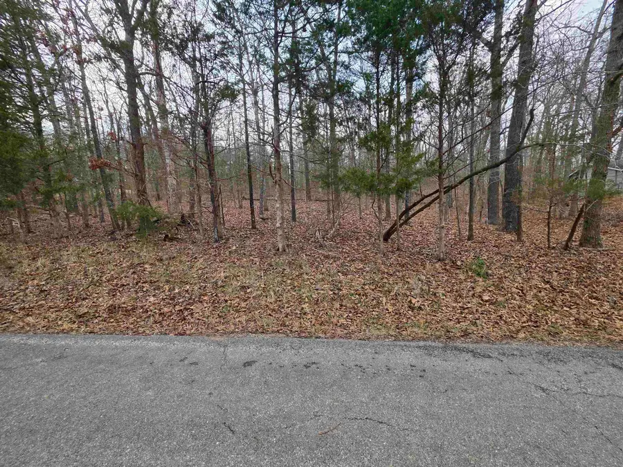 L3 B12 Spring Water Drive, Cherokee Village, AR 72529 - #3