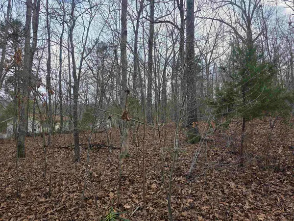 L13 B12 Seca Drive, Cherokee Village, AR 72529