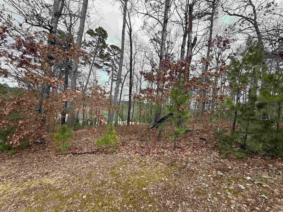 Address Withheld By Seller, Little Rock, AR 72223 - #3