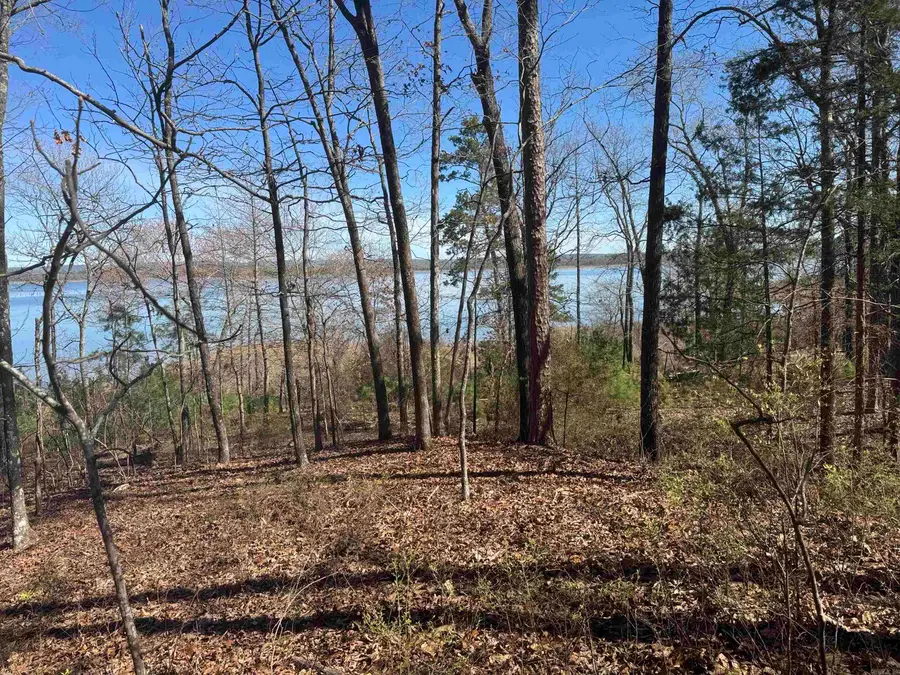 Lot 1 Kings Place, Quitman, AR 72131 - #2