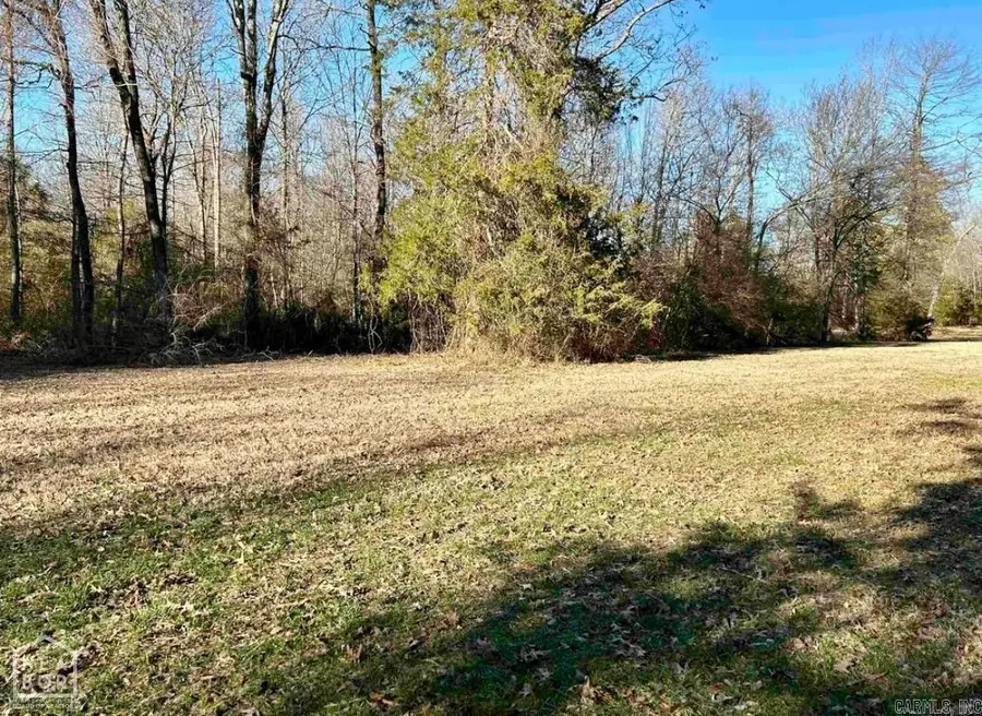 135 Summer Meadows Drive, Mountain View, AR 72560 - #2