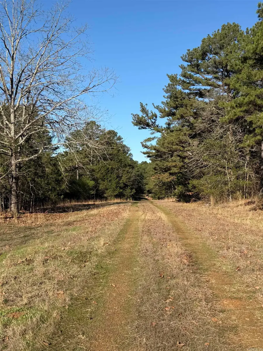 000 N Scenic Drive, Heber Springs, AR 72543 - #3