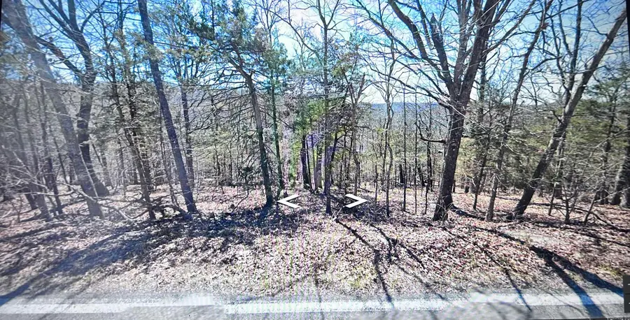 Lot 21 Stateline Drive, Holiday Island, AR 72631 - #3