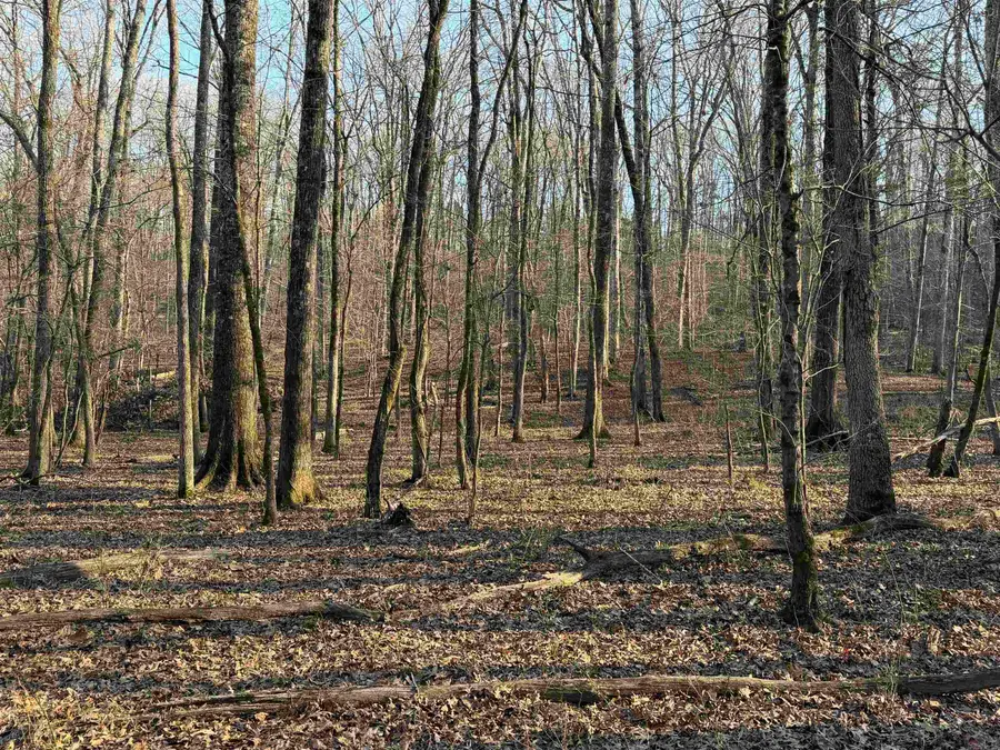 00 Highway 336 E, Clinton, AR 72031 - #2