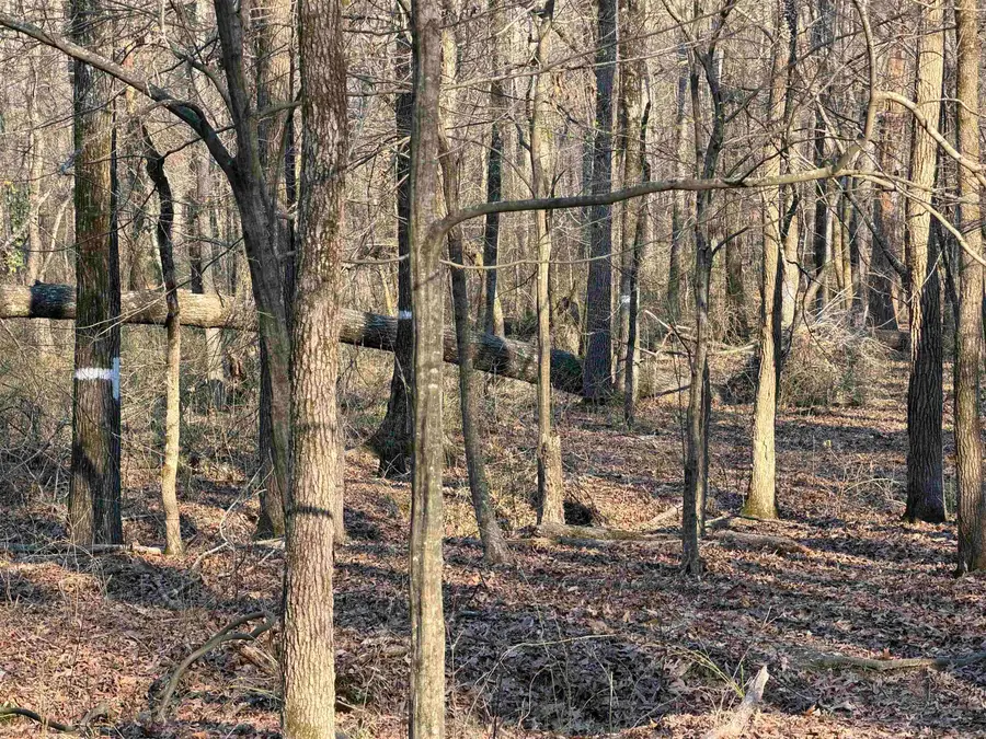 00 Highway 336 E, Clinton, AR 72031 - #3