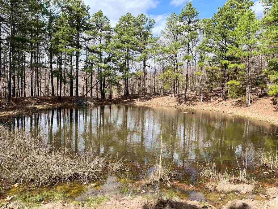 2314 Little Red River Road, Marshall, AR 72650 - #2