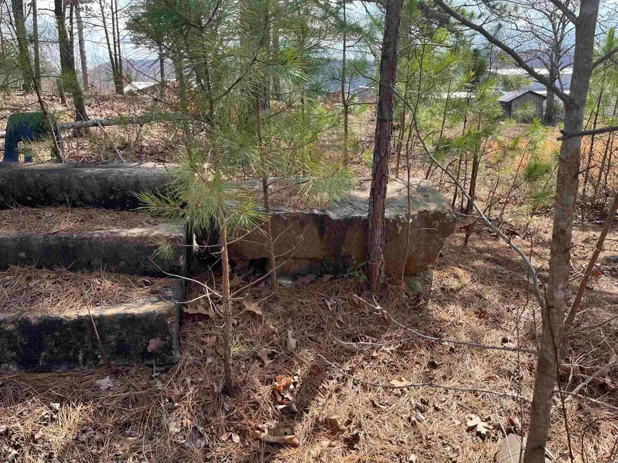 2314 Little Red River Road, Marshall, AR 72650 - #3