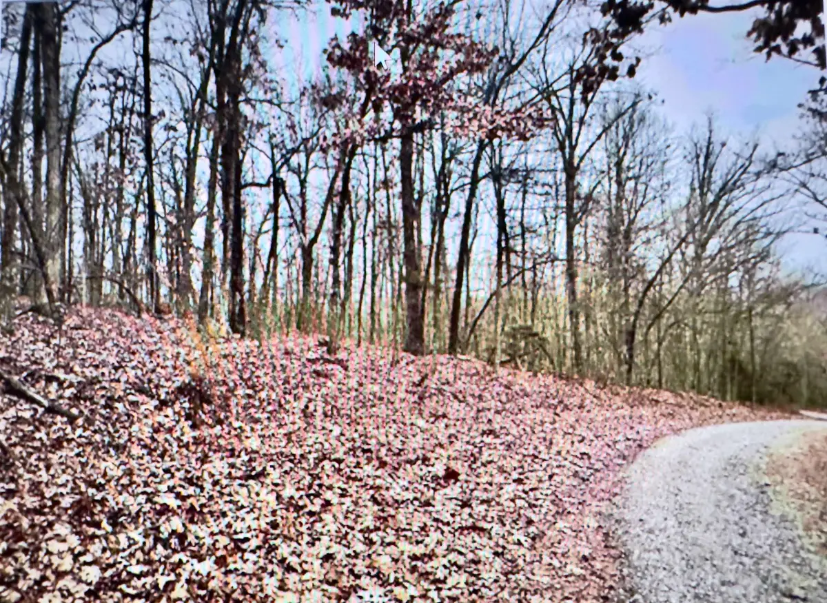 151-157 Seminole Drive, Hardy, AR 72542 - #1