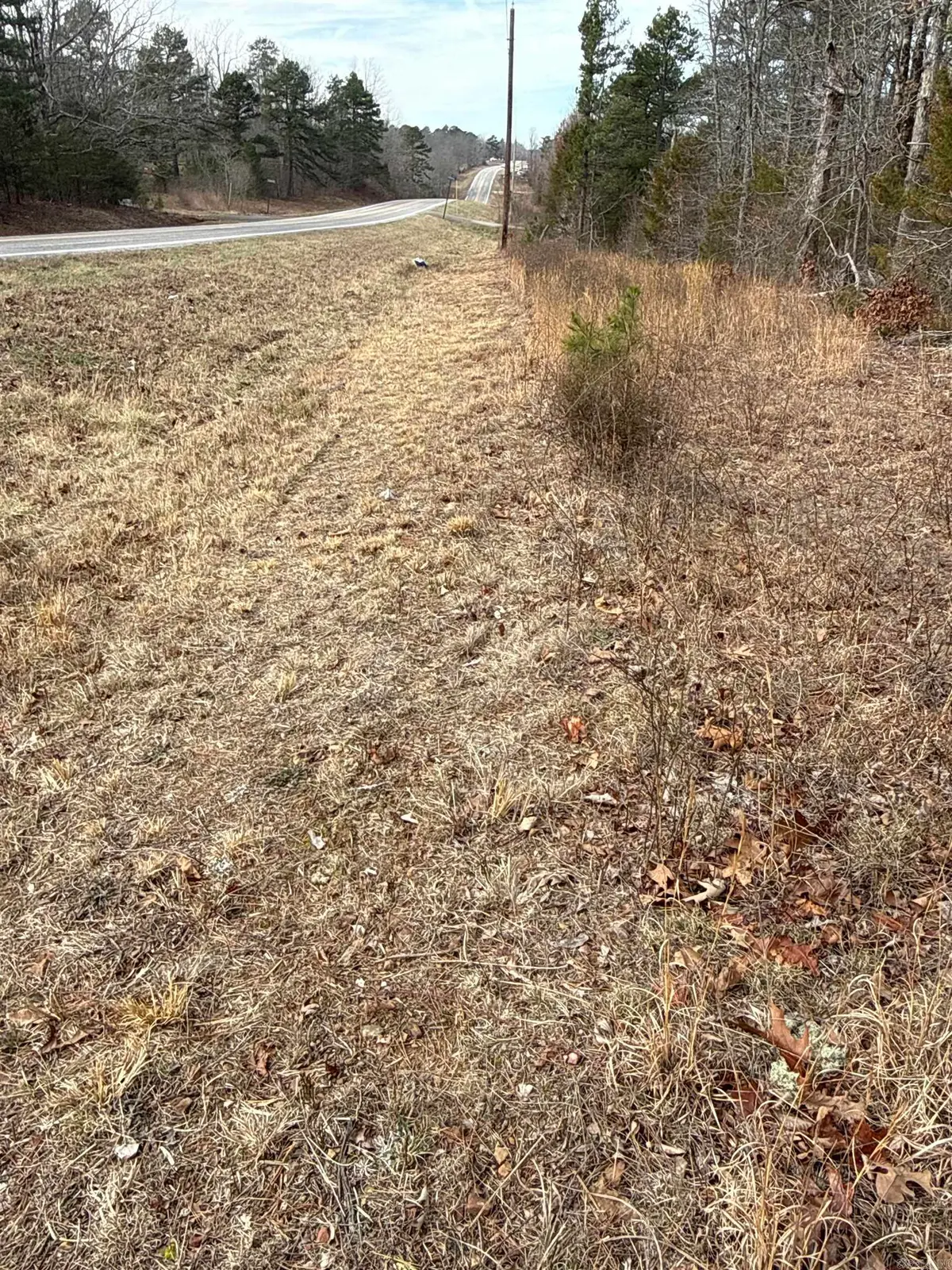 150 Blue Mountain Lane, Alco, AR 72680 - #1