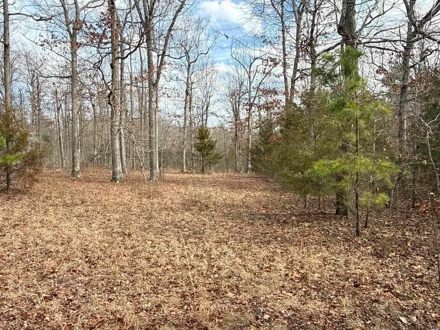 150 Blue Mountain Lane, Alco, AR 72680 - #3