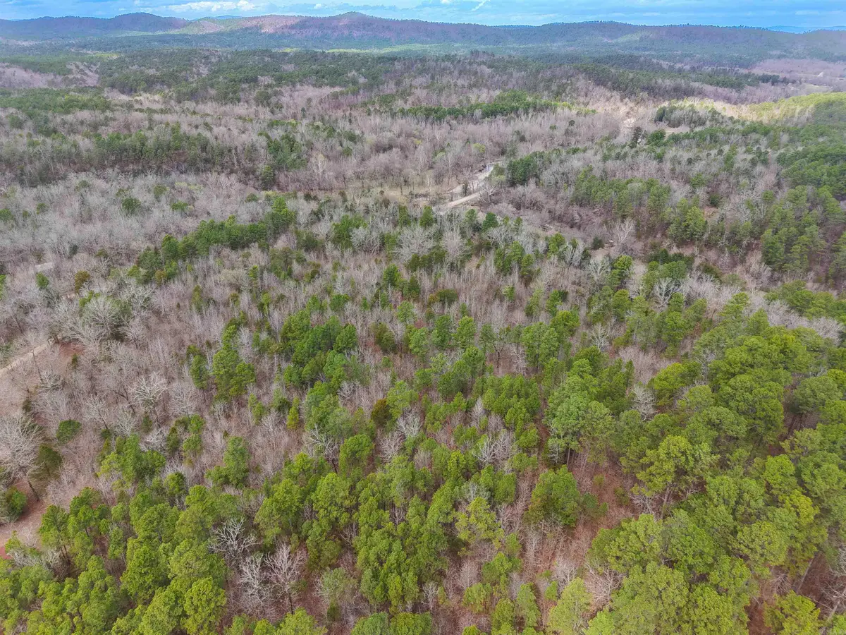 TBD Gaston Road, Mount Ida, AR 71957 - #1