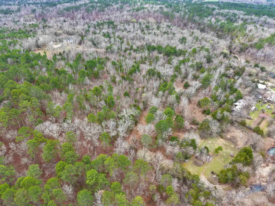 TBD Gaston Road, Mount Ida, AR 71957 - #2