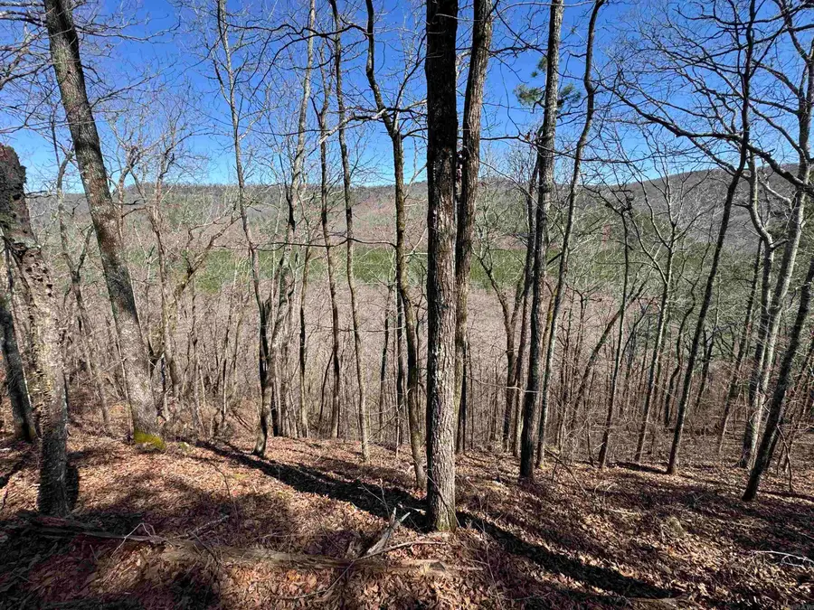 5210 Oyler Rd., Clinton, AR 72031 - #2