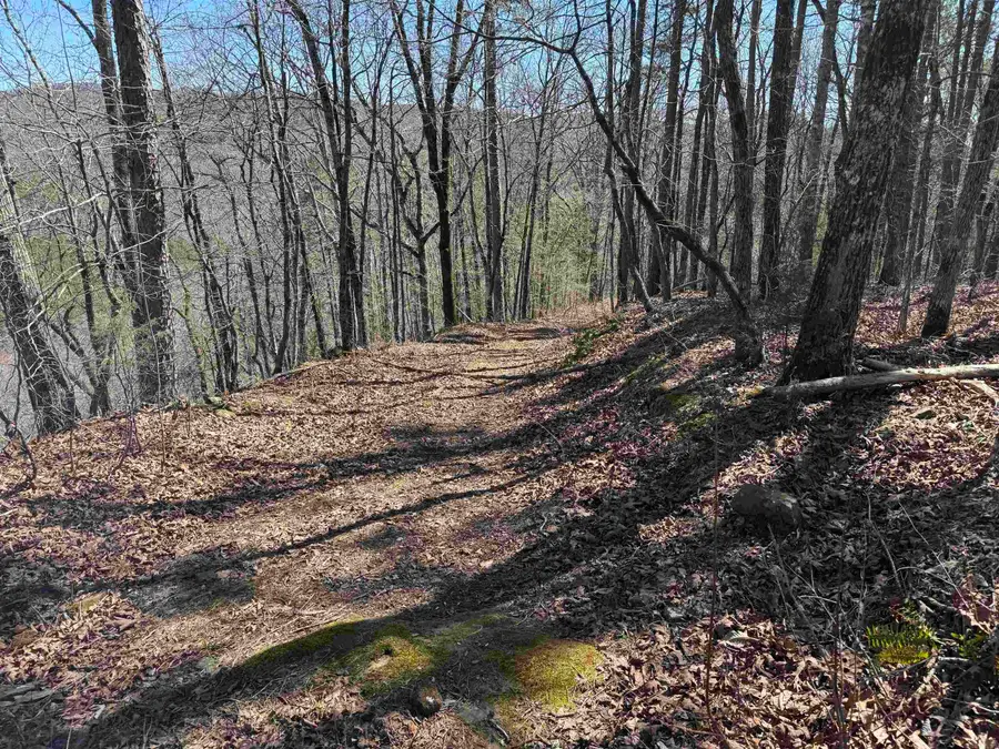 5210 Oyler Rd., Clinton, AR 72031 - #3