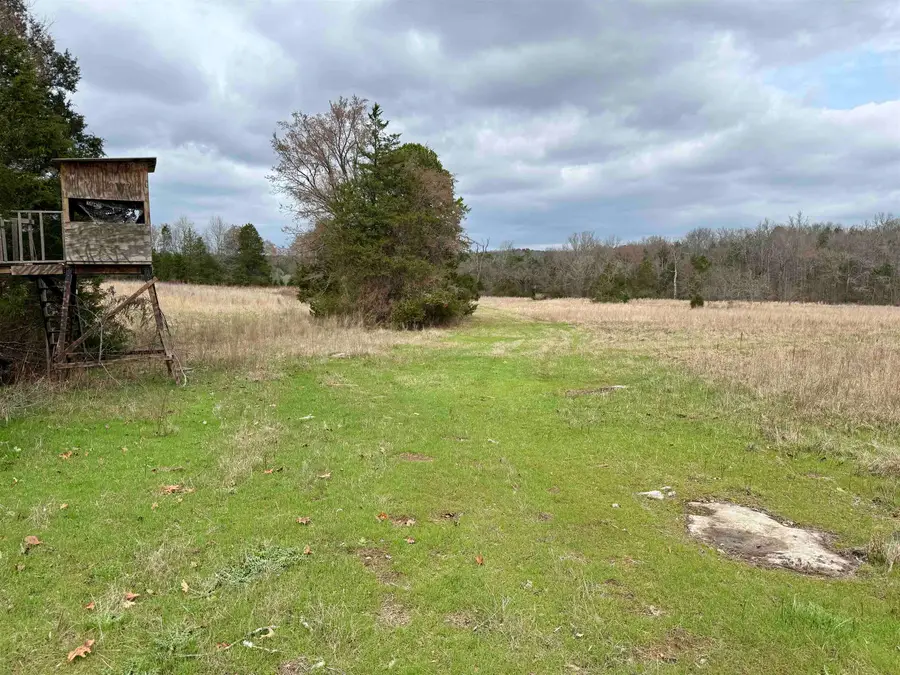 82A Gorby Road, Claiborne, AR 72556 - #3