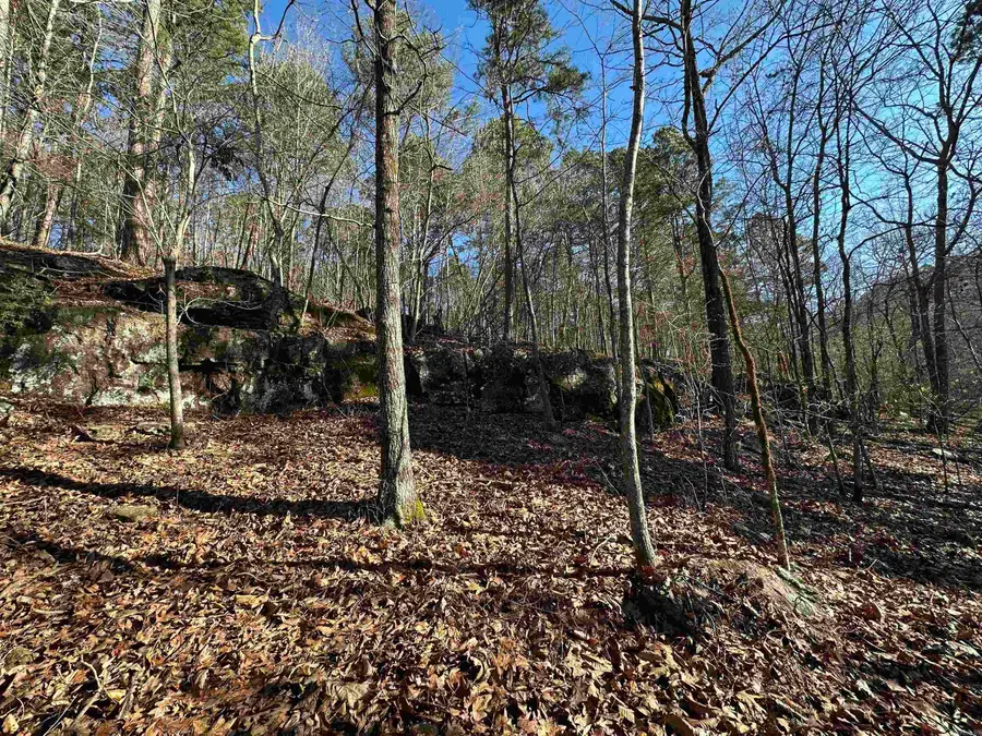 000 Bear Mountain Road, Prim, AR 72130 - #3