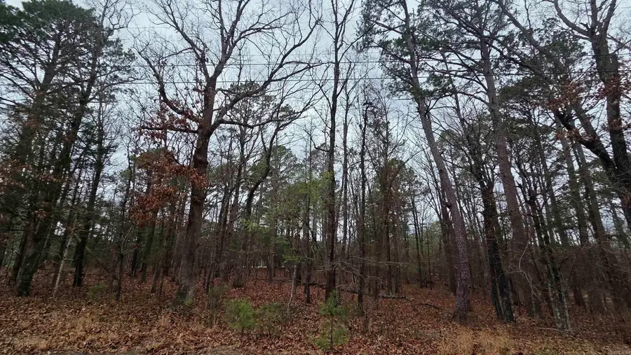 000 Hilltop Drive, Fairfield Bay, AR 72088 - #2