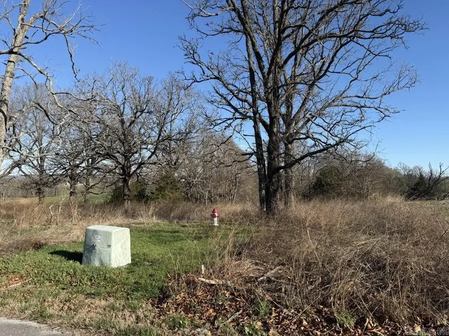 Address Withheld By Seller, Harrison, AR 72601 - #3