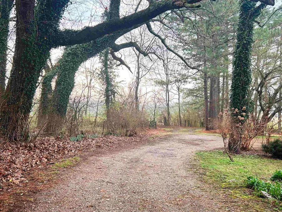 404 Evans Road, Ash Flat, AR 72513 - #2