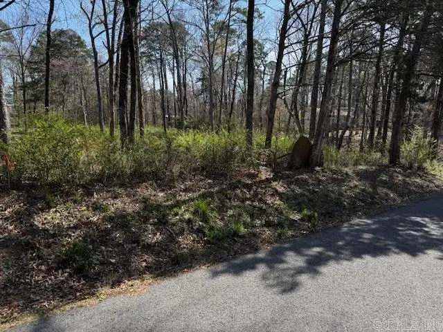Lot 54 Silagy, Greers Ferry, AR 72067 - #1