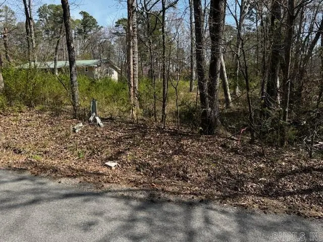 Lot 54 Silagy, Greers Ferry, AR 72067 - #3