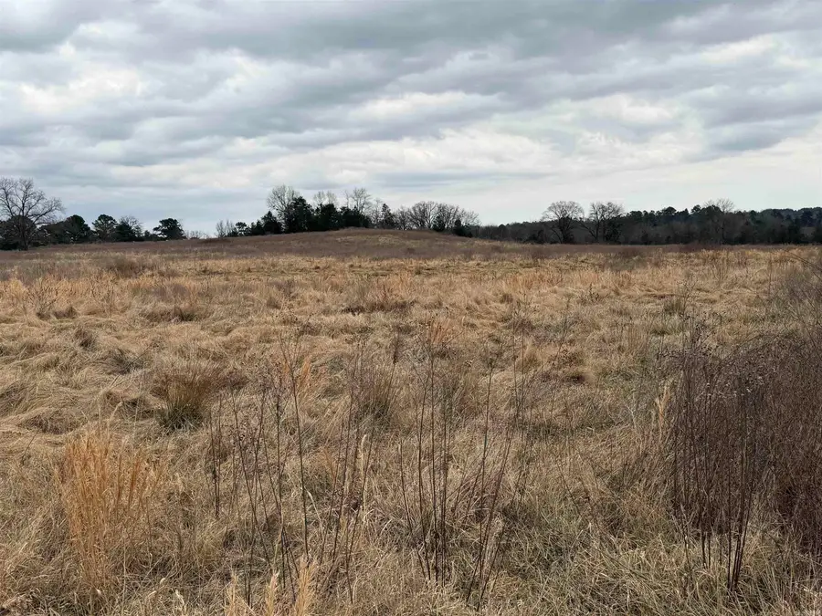 000 County Road 3335, Clarksville, AR 72830 - #2