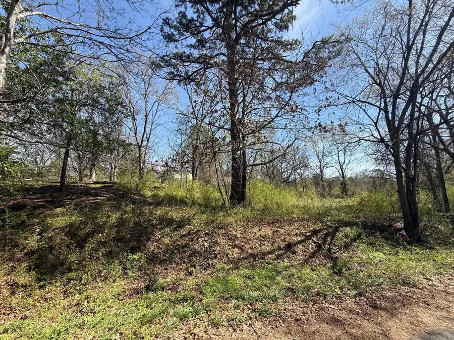 708 Holly Ave, Mena, AR 71953 - #3