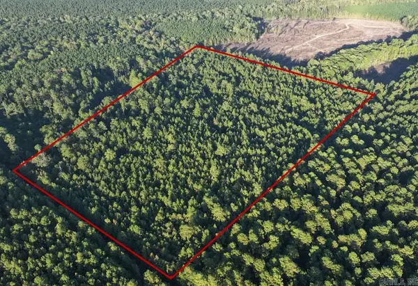 2700 Grant County Rd 36, Prattsville, AR 72129