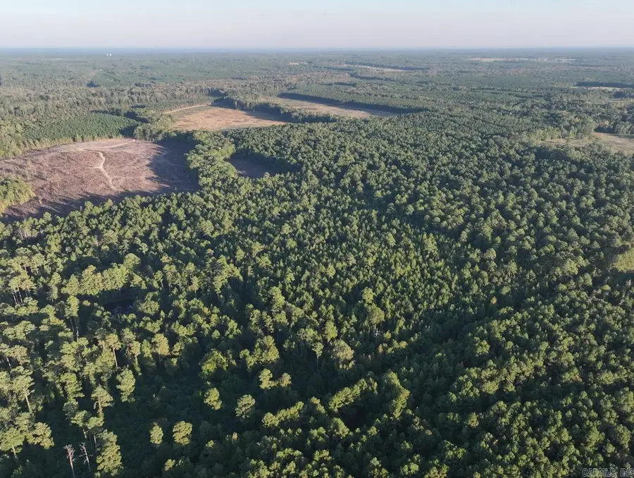 2700 Grant County Rd 36, Prattsville, AR 72129 - #3