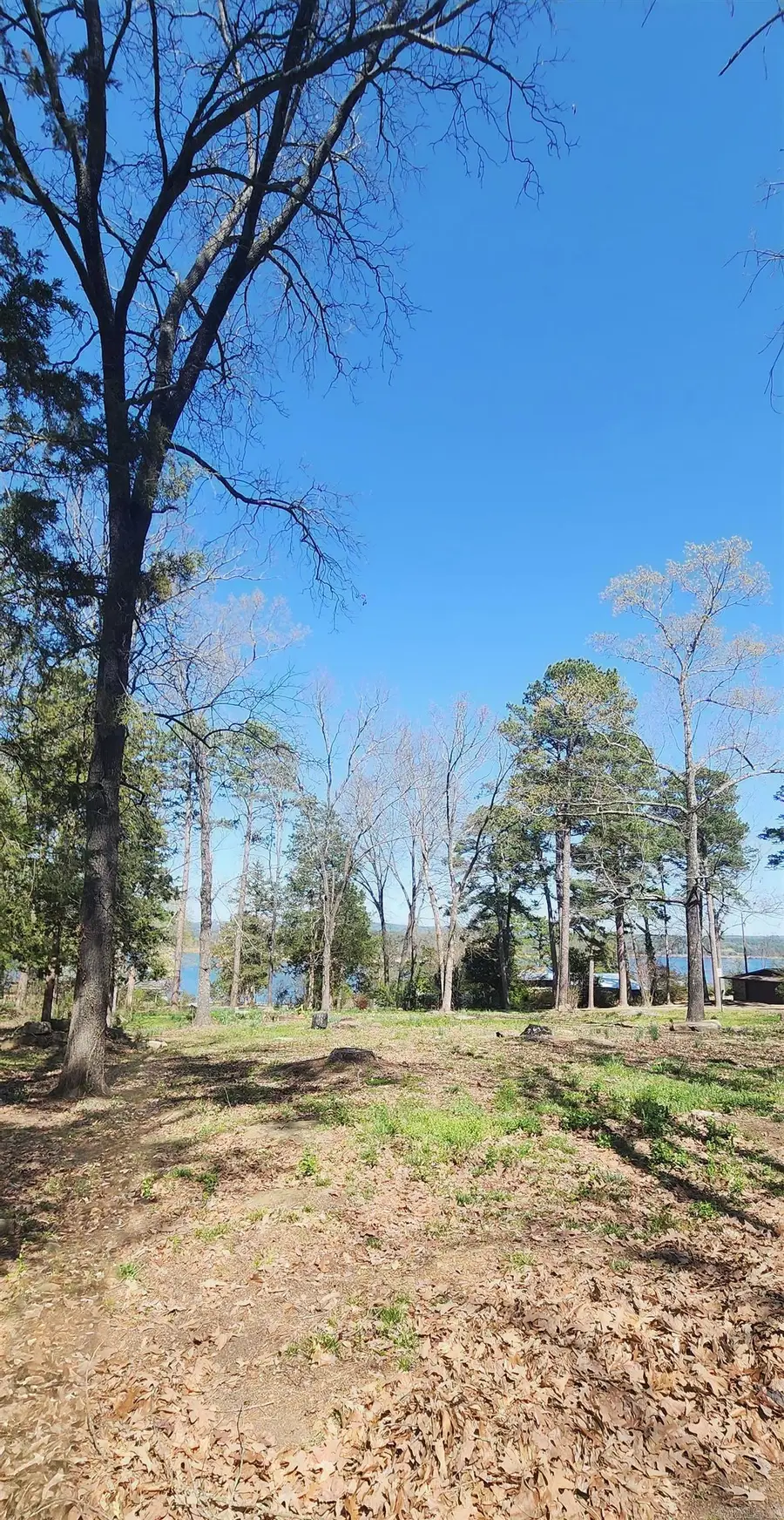 204 Glenview Drive, Heber Springs, AR 72543 - #2