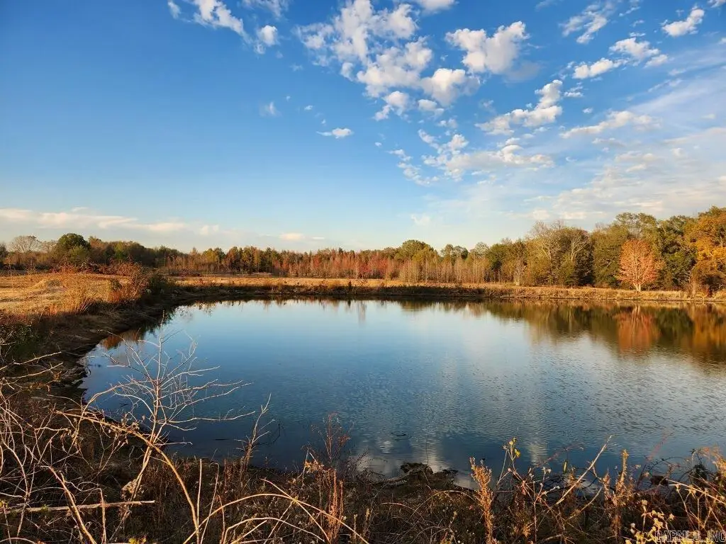 21.69 Acres Lee County, Moro, AR 72368 - #1