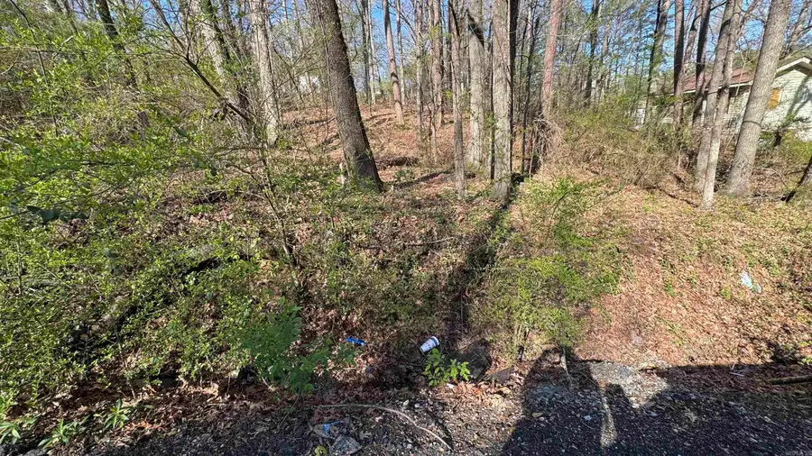 Lots 3 and 4 Cobb St, Little Rock, AR 72204 - #2