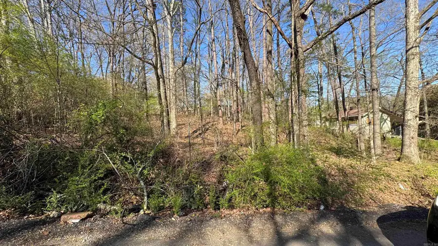 Lots 3 and 4 Cobb St, Little Rock, AR 72204 - #3