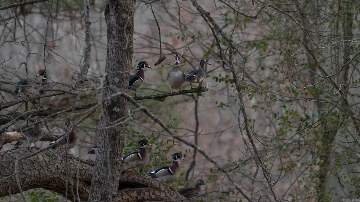 Address Withheld By Seller, Texarkana, AR 71854 - #1