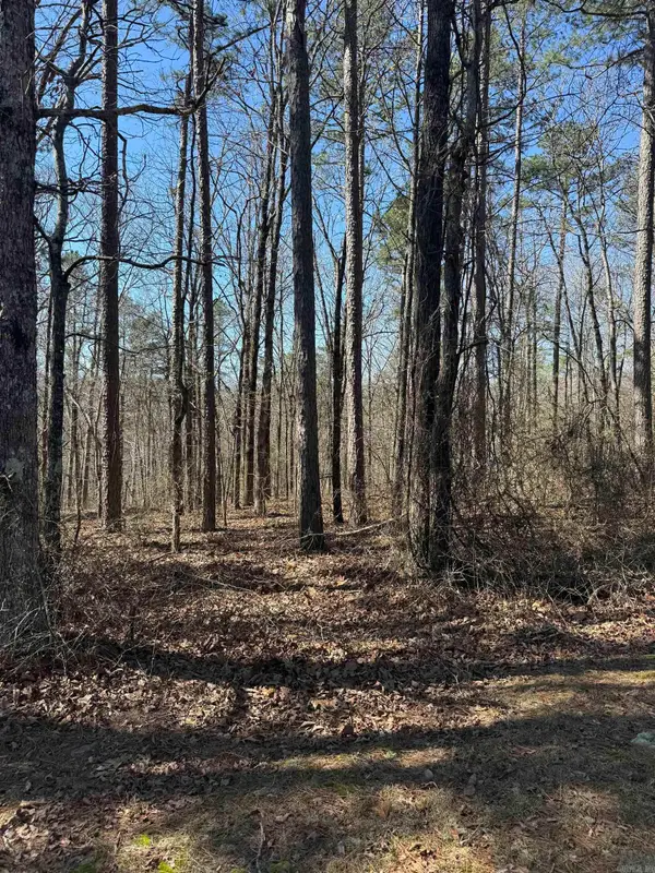 000 Oyler Road, Clinton, AR 72031