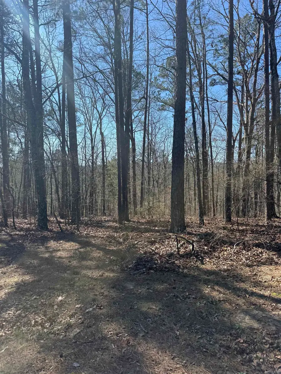 000 Oyler Road, Clinton, AR 72031 - #2