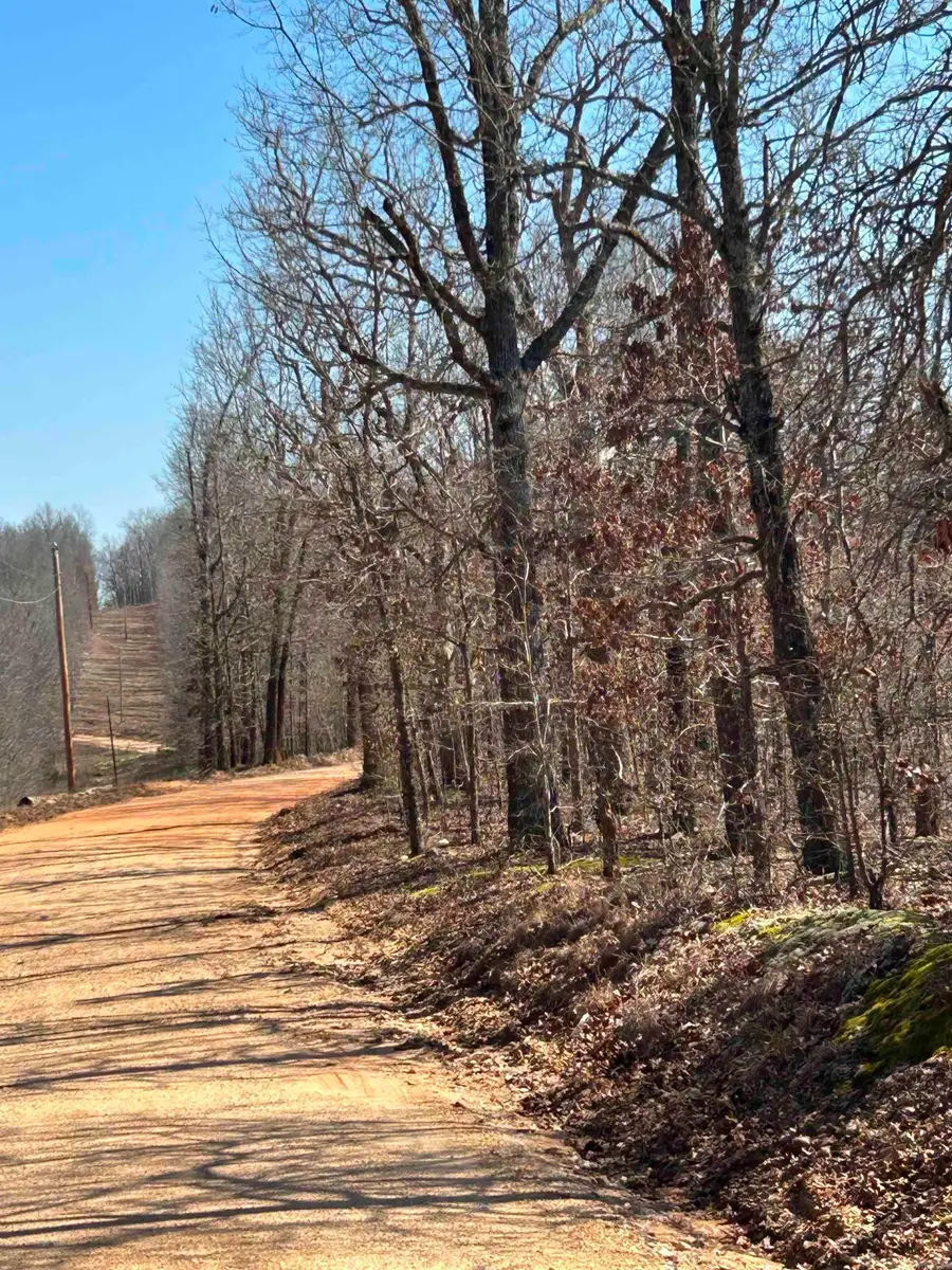 71 Acres Mcfadden & Springwood Road, Hardy, AR 72542 - #2