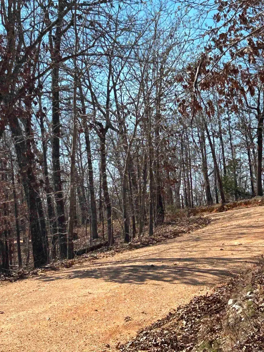 71 Acres Mcfadden & Springwood Road, Hardy, AR 72542 - #3