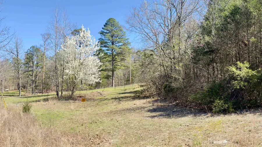 22 Red Lamb Road, Melbourne, AR 72556 - #2