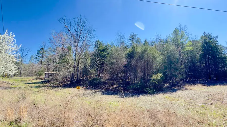 22 Red Lamb Road, Melbourne, AR 72556 - #3