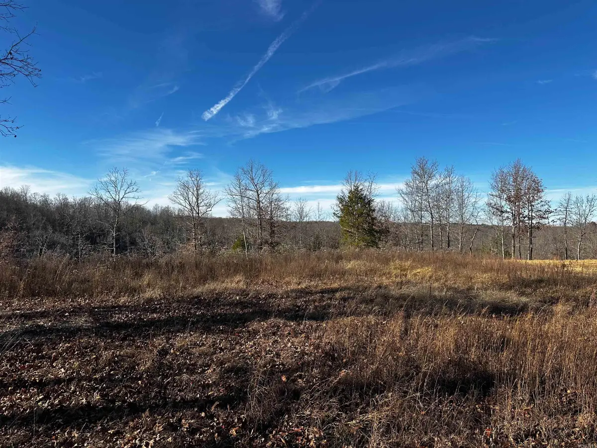 000 Heulan Way, Mountain View, AR 72560 - #1