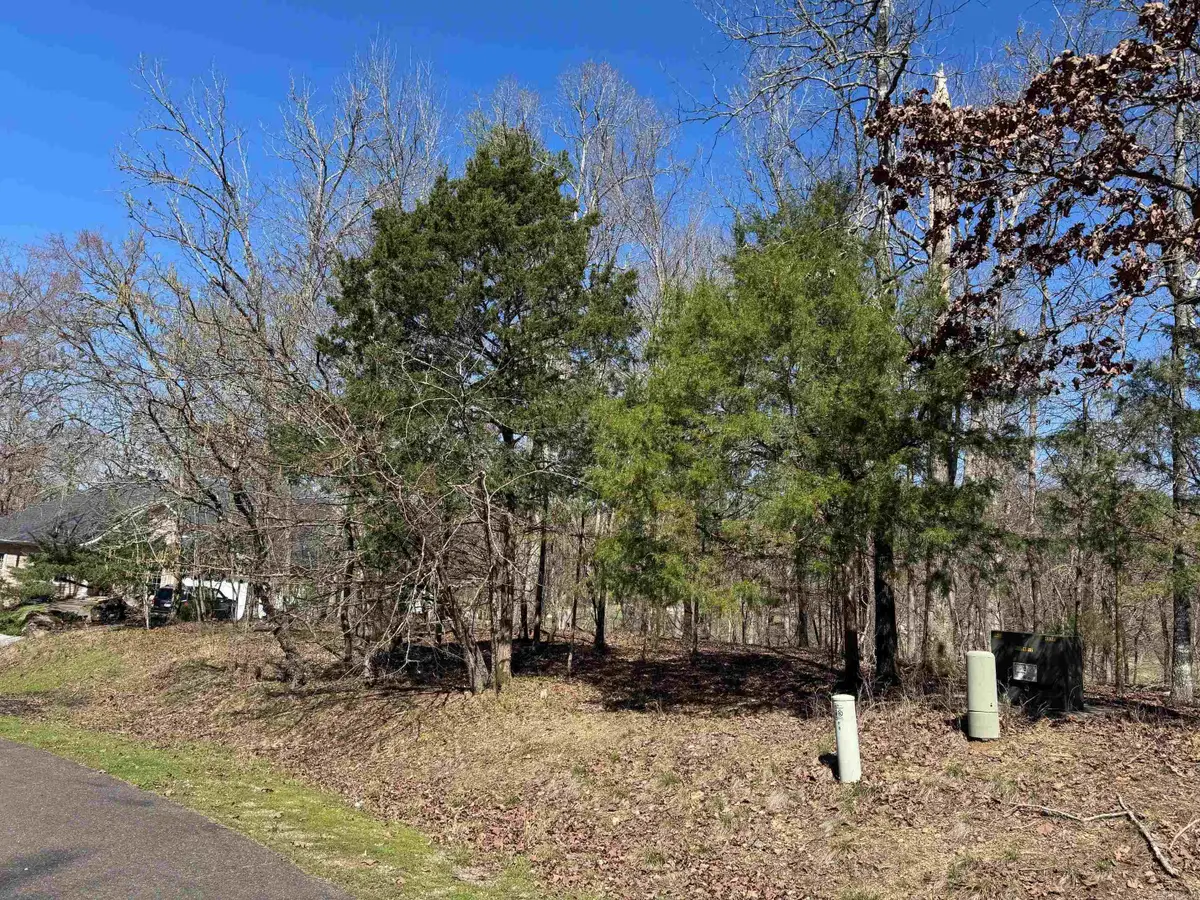 10 Princesa Place, Hot Springs Village, AR 71909 - #1