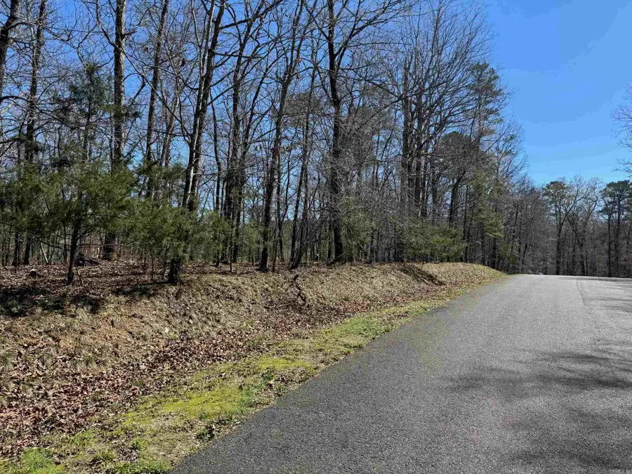 10 Princesa Place, Hot Springs Village, AR 71909 - #2